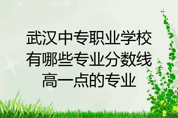 武汉中专职业学校有哪些专业分数线高一点的专业