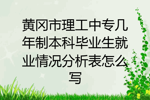 黄冈市理工中专几年制本科毕业生就业情况分析表怎么写