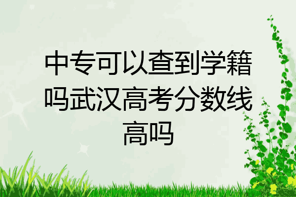 中专可以查到学籍吗武汉高考分数线高吗