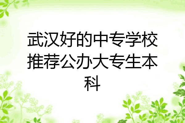 武汉好的中专学校推荐公办大专生本科