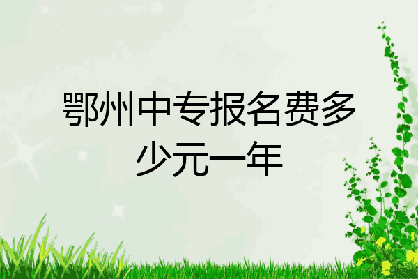 鄂州中专报名费多少元一年