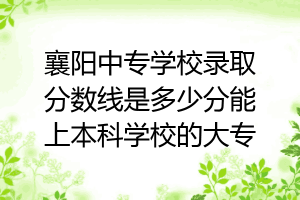 襄阳中专学校录取分数线是多少分能上本科学校的大专