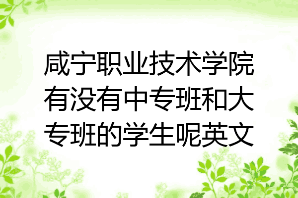 咸宁职业技术学院有没有中专班和大专班的学生呢英文