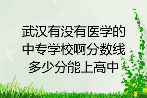 武汉有没有医学的中专学校啊分数线多少分能上高中