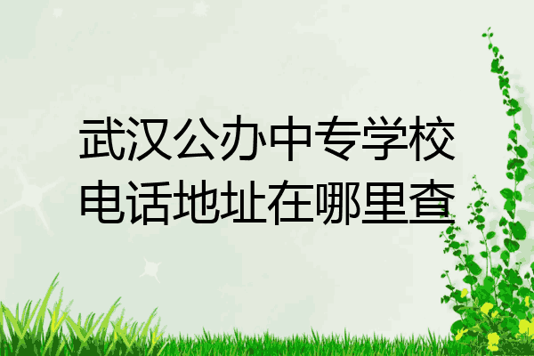 武汉公办中专学校电话地址在哪里查