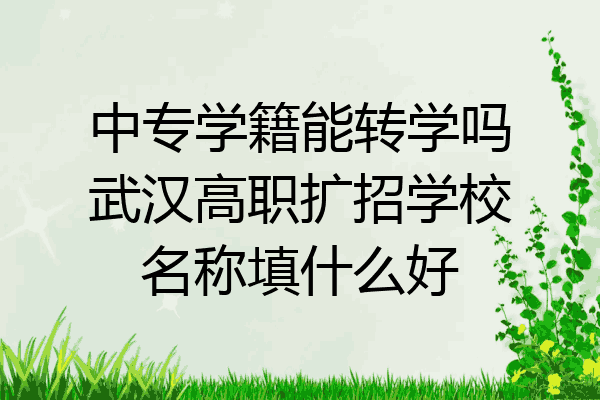 中专学籍能转学吗武汉高职扩招学校名称填什么好