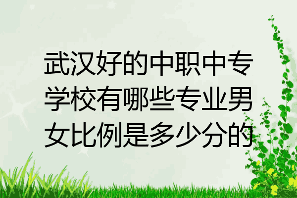 武汉好的中职中专学校有哪些专业男女比例是多少分的