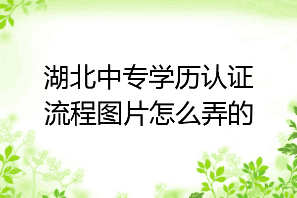 湖北中专学历认证流程图片怎么弄的