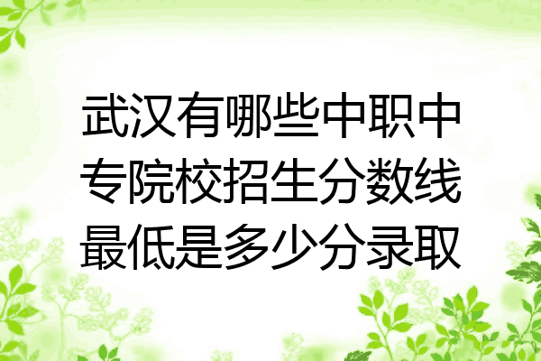 武汉有哪些中职中专院校招生分数线最低是多少分录取