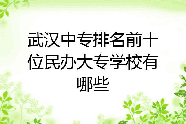 武汉中专排名前十位民办大专学校有哪些