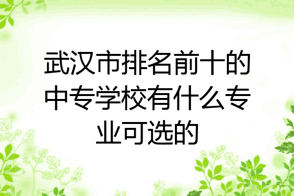 武汉市排名前十的中专学校有什么专业可选的