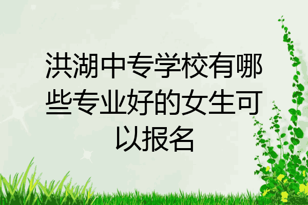 洪湖中专学校有哪些专业好的女生可以报名