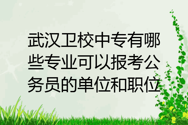 武汉卫校中专有哪些专业可以报考公务员的单位和职位