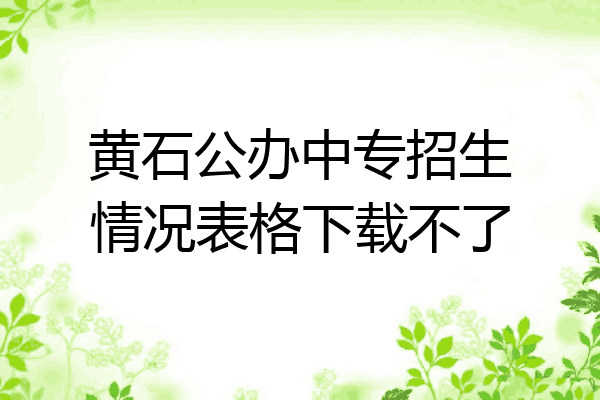 黄石公办中专招生情况表格下载不了