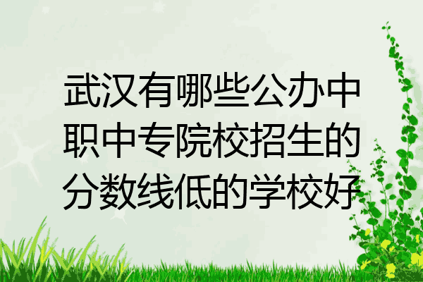 武汉有哪些公办中职中专院校招生的分数线低的学校好