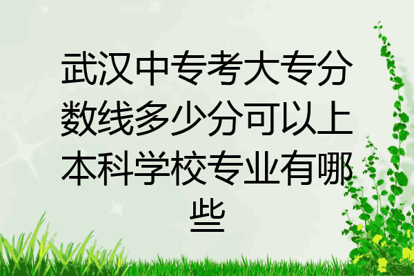 武汉中专考大专分数线多少分可以上本科学校专业有哪些