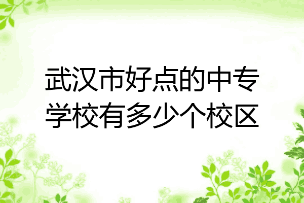 武汉市好点的中专学校有多少个校区