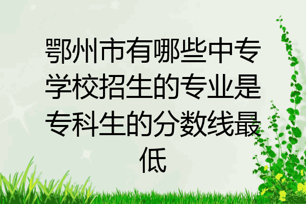 鄂州市有哪些中专学校招生的专业是专科生的分数线最低