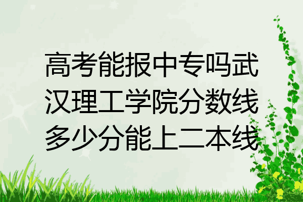 高考能报中专吗武汉理工学院分数线多少分能上二本线