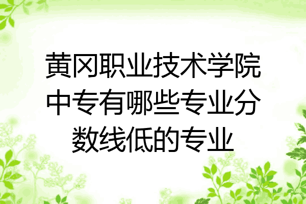 黄冈职业技术学院中专有哪些专业分数线低的专业