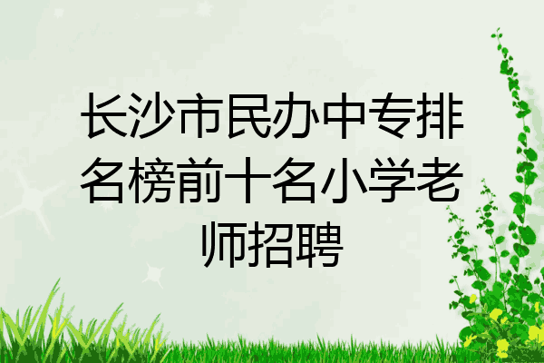 长沙市民办中专排名榜前十名小学老师招聘