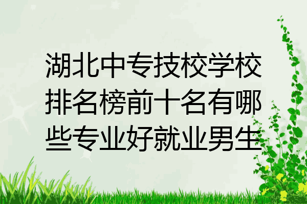 湖北中专技校学校排名榜前十名有哪些专业好就业男生