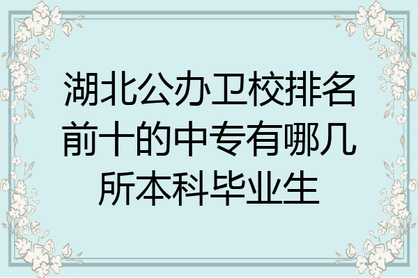 湖北公办卫校排名前十的中专有哪几所本科毕业生