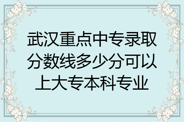 武汉重点中专录取分数线多少分可以上大专本科专业
