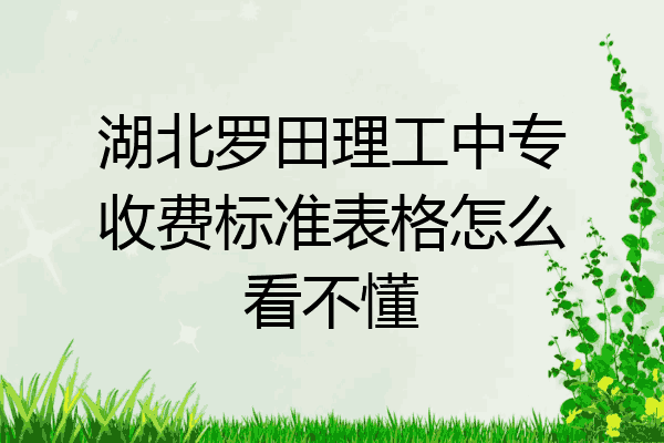 湖北罗田理工中专收费标准表格怎么看不懂