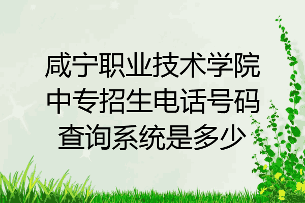 咸宁职业技术学院中专招生电话号码查询系统是多少