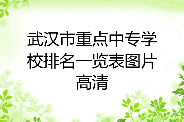 武汉市重点中专学校排名一览表图片高清