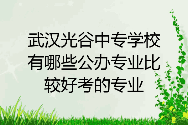 武汉光谷中专学校有哪些公办专业比较好考的专业
