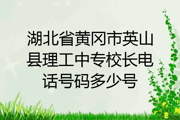 湖北省黄冈市英山县理工中专校长电话号码多少号