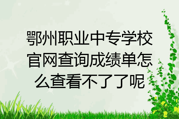 鄂州职业中专学校官网查询成绩单怎么查看不了了呢