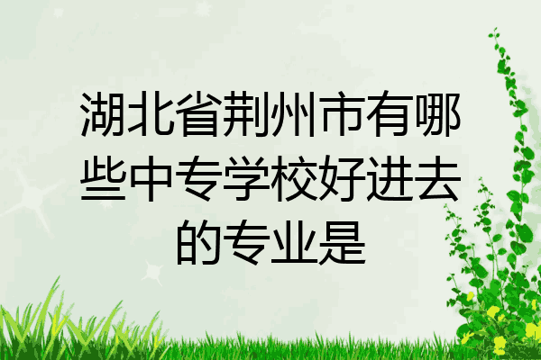 湖北省荆州市有哪些中专学校好进去的专业是