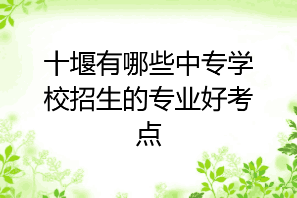十堰有哪些中专学校招生的专业好考点