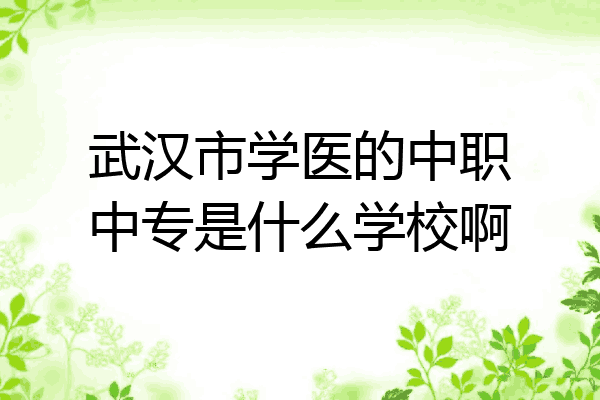 武汉市学医的中职中专是什么学校啊