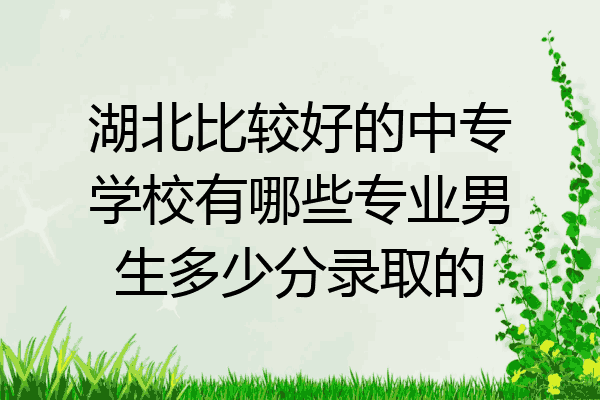 湖北比较好的中专学校有哪些专业男生多少分录取的