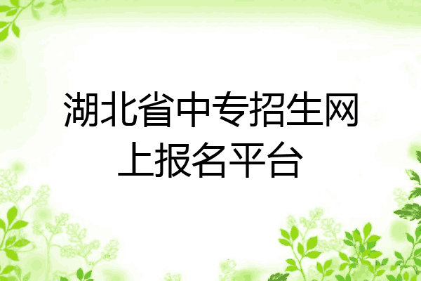 湖北省中专招生网上报名平台