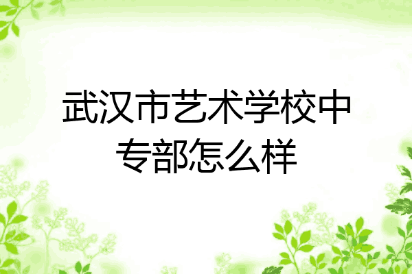 武汉市艺术学校中专部怎么样