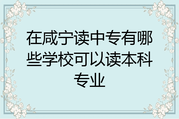 在咸宁读中专有哪些学校可以读本科专业