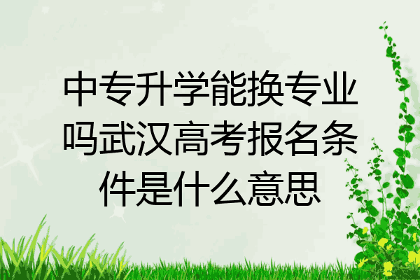 中专升学能换专业吗武汉高考报名条件是什么意思