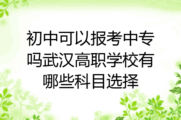 初中可以报考中专吗武汉高职学校有哪些科目选择