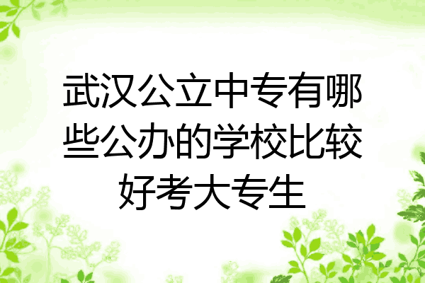 武汉公立中专有哪些公办的学校比较好考大专生
