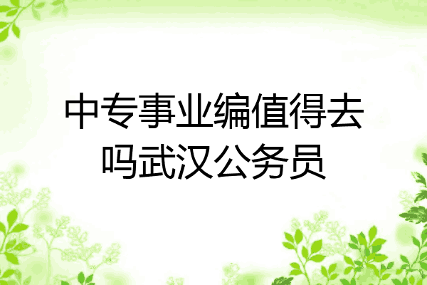 中专事业编值得去吗武汉公务员
