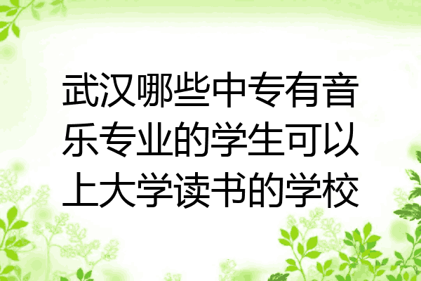 武汉哪些中专有音乐专业的学生可以上大学读书的学校
