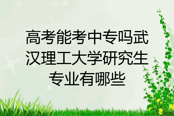 高考能考中专吗武汉理工大学研究生专业有哪些
