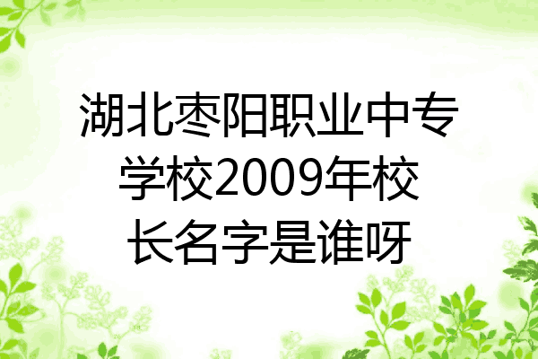 湖北枣阳职业中专学校2009年校长名字是谁呀