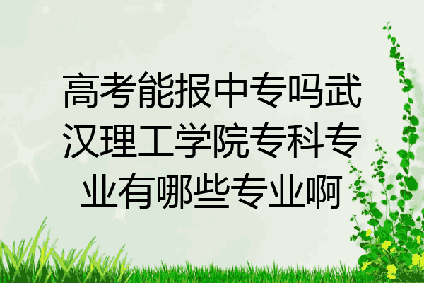 高考能报中专吗武汉理工学院专科专业有哪些专业啊