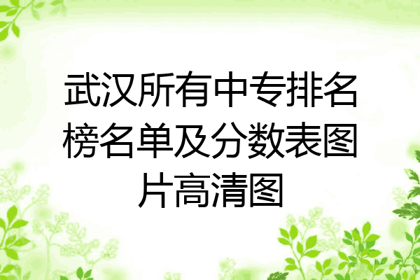 武汉所有中专排名榜名单及分数表图片高清图